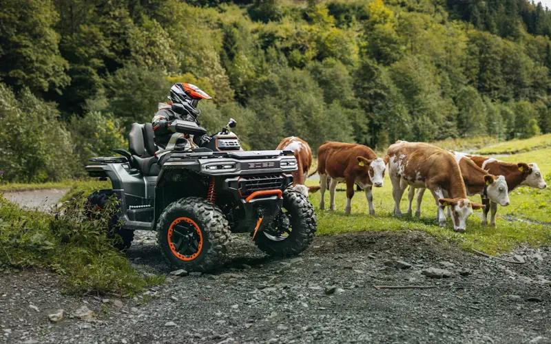 GOES TERROX 1000 GOES TERROX 1000