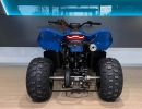 cfmoto gladiator x110 zadni pohled 1