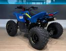 cfmoto gladiator x110 zadni pohled