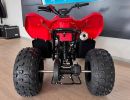 cfmoto gladiator x110 le pohled zezadu