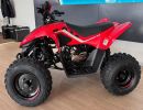 cfmoto gladiator x110 le pohled zleva