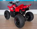 cfmoto gladiator x110 le pohled zleva zezadu