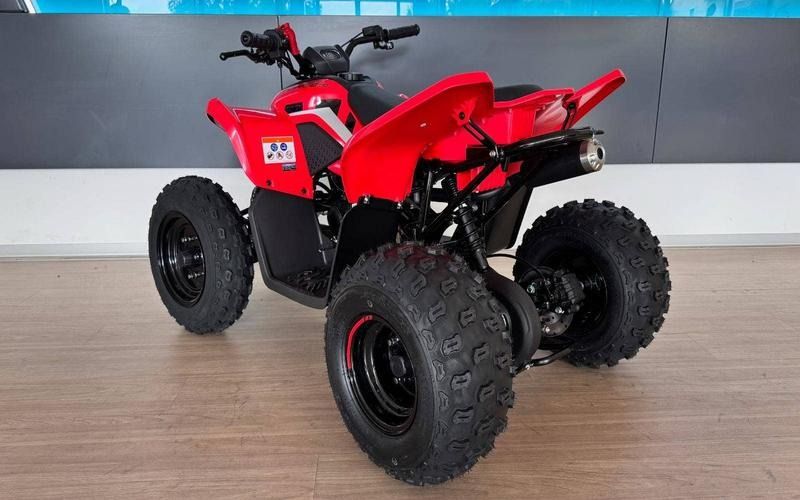 cfmoto gladiator x110 le pohled zleva zezadu