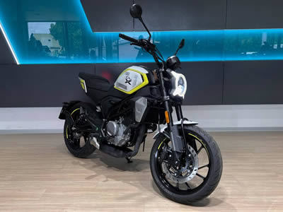 CFMOTO 300CL-X