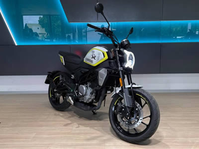 CFMOTO 300CL-X 